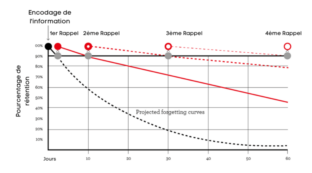 Using spaced review to combat the forgetting curve!