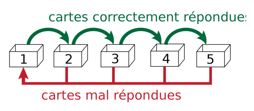 Schéma représentatif de la révision espacée et la consolidation des acquis